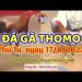 xem da ga trực tuyến 8 (17)