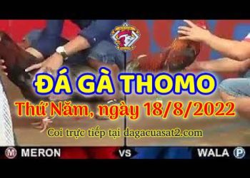 trực tuyến da ga thang 8 (18)