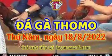 trực tuyến da ga thang 8 (18)