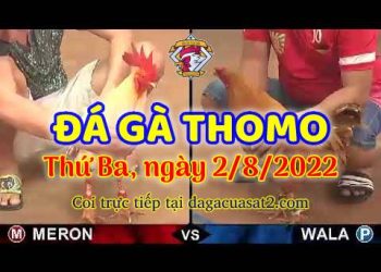 trực tiếp xem da ga thang 8 (2)