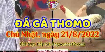 xem da ga live trực tiêp s thang 8 (21)
