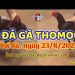 xem da ga online thang 8 (23)