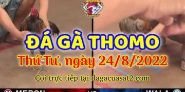 xem da ga trực tiếp campuchia thang 8 (24)