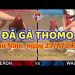 xem da ga trực tiếp thomo thang 8 (25)