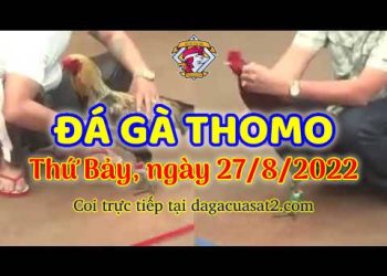live thomo trực tiếp da ga thang 8 (27)