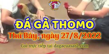 live thomo trực tiếp da ga thang 8 (27)