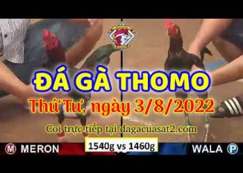 xem trực tiếp da ga thang 8 (3)