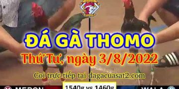 xem trực tiếp da ga thang 8 (3)