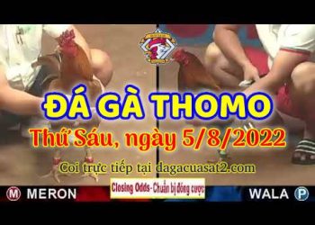 trực tiếp da ga thang 8 (5)