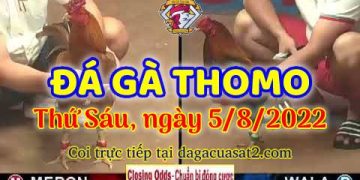trực tiếp da ga thang 8 (5)