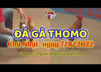 da ga trực tiếp thang 8 (7)