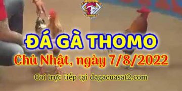 da ga trực tiếp thang 8 (7)