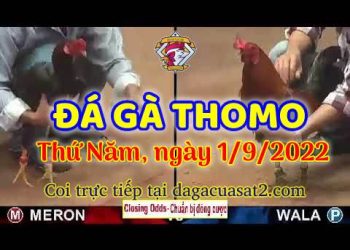 da ga thang- dagacuasat (1)