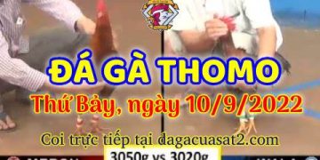 da ga thang- dagacuasat (10)