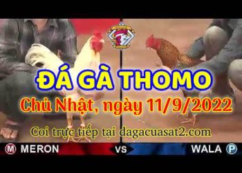 da ga thang- dagacuasat (11)