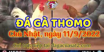 da ga thang- dagacuasat (11)