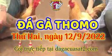 da ga thang- dagacuasat (12)