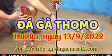 da ga thang- dagacuasat (13)