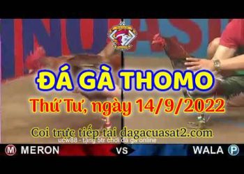 da ga thang- dagacuasat (14)