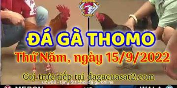 da ga thang- dagacuasat (15)