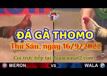 da ga thang- dagacuasat (16)