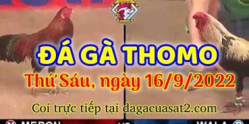 da ga thang- dagacuasat (16)