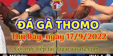 da ga thang- dagacuasat (17)