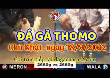 da ga thang- dagacuasat (18)