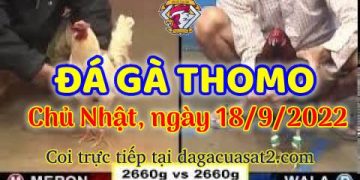 da ga thang- dagacuasat (18)