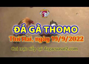 da ga thang- dagacuasat (19)