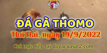 da ga thang- dagacuasat (19)