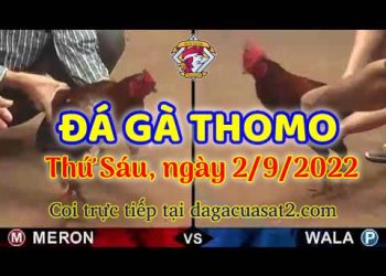 da ga thang- dagacuasat (2)