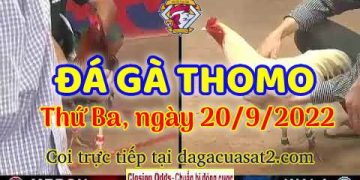 da ga thang- dagacuasat (20)