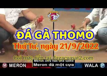 da ga thang- dagacuasat (21)