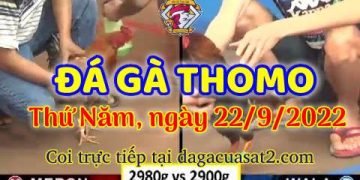 da ga thang- dagacuasat (22)