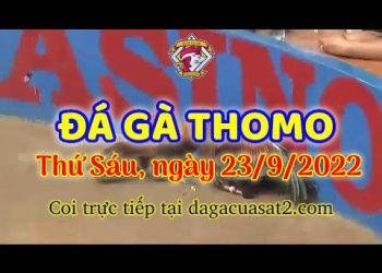 da ga thang- dagacuasat (23)