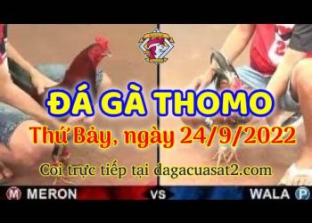 da ga thang- dagacuasat (24)