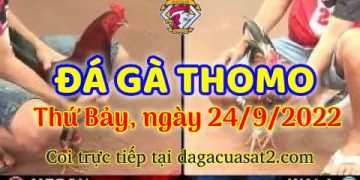 da ga thang- dagacuasat (24)