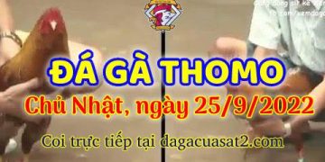 da ga thang- dagacuasat (25)