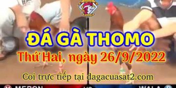 da ga thang- dagacuasat (26)