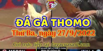 da ga thang- dagacuasat (27)