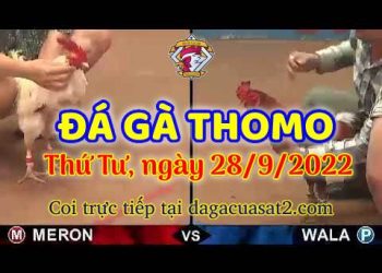 da ga thang- dagacuasat (28)