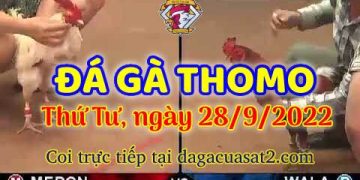 da ga thang- dagacuasat (28)