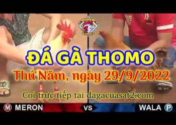 da ga thang- dagacuasat (29)