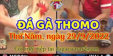 da ga thang- dagacuasat (29)