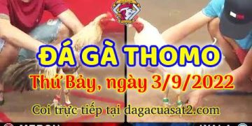 da ga thang- dagacuasat (3)