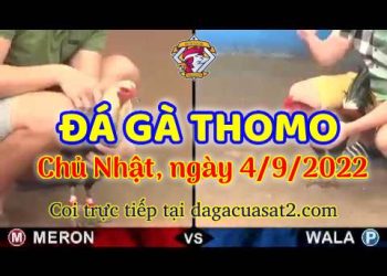 da ga thang- dagacuasat (4)