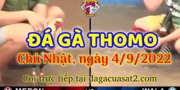 da ga thang- dagacuasat (4)