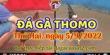 da ga thang- dagacuasat (5)
