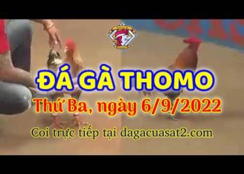 da ga thang- dagacuasat (6)